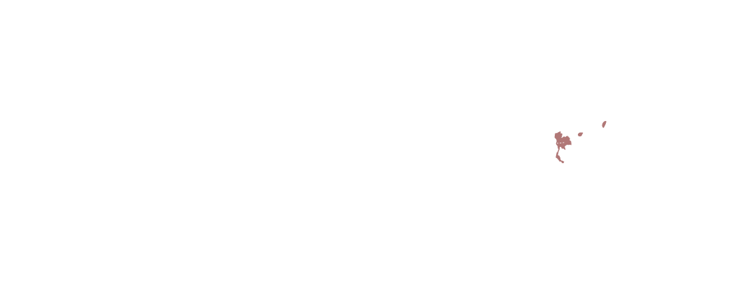 Thai asia